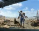 Fallout 5 údajně dostal zelenou, na vydání si ale ještě počkáme