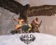 Gameplay video z PS4 exkluzivity WiLD