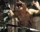 Capcom představuje monstrum Hog z Deep Down