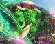 Child of Eden na Wii a 3DS nebude