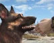Deníček na Fallout 4 o chlupatém mazlíčkovi