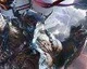 Lords of the Fallen