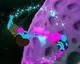 Starwhal: Just the Tip vyjde na PS3 a PS4