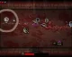 The Binding of Isaac: Rebirth dostane v květnu rozšíření Afterbirth