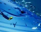 Abzu vyjde v lednu diskově pro PS4 a dokonce i Xbox One