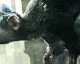 The Last Guardian dostává ve světě slušné známky