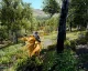 Final Fantasy XV bude těžit z výkonu PS4 Pro