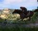 Kingdom Come: Deliverance vyjde s největší pravděpodobností pro všechny platformy současně