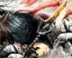 Bandai Namco oznámilo God Eater: Resurrection