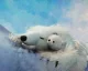 Nové gameplay video ze hry Dreams