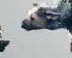 The Last Guardian vyjde letos, magazín EDGE má preview