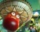 Plants vs. Zombies: Garden Warfare dostane DLC Garden Variety Pack