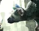 Fumito Ueda raději nebude hned hrát The Last Guardian
