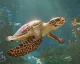 Nové video z Planet Zoo 2 ukazuje stavbu obrovských akvárií s vodními živočichy
