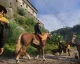 Kingdom Come: Deliverance našel vydavatele
