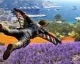 Nové gameplay video na Just Cause 3