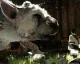 Sony: The Last Guardian moc ukazovat nebudeme, abychom nevyspoilerovali příběh