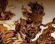 Spekulace: Metal Gear Solid HD Trilogy ve vývoji