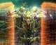 36 minut ze Striku The Undying Mind pro Destiny