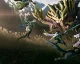 Dnes vyšla akční hra Monster Hunter Rise pro konzole PlayStation a Xbox, launch trailer