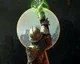Dragon Age: Inquisition dostane na Xbox One demoverzi