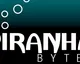 Studio Piranha Bytes ještě nekončí, pro svoji další hru v současnosti hledá partnera