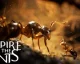 První teaser trailer na dobrodružnou strategickou hru s mravenci Empire of the Ants