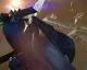 Odhalen Moments of Triumph v Destiny pro druhý rok