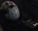 Dark Souls 2 má první recenzi, dopadl podle očekávání