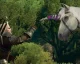 Nový trailer na GOTY edici hry Zaklínač 3: Divoký hon