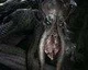 Spousta gameplay záběrů z akce Evolve