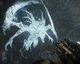 Odhaleno třetí monstrum do hry Evolve