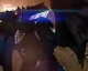 Bungie zítra představí Strike misi, lokaci Dreadnaught a nové bosse + teaser