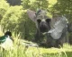 Nové obrázky z The Last Guardian