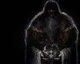 Dark Souls 2: Scholar of the First Sin vyjde o pár dní dříve