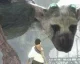 Vývoj PS4 verze The Last Guardian začal v roce 2012