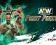 THQ Nordic vydá wrestlingovou hru AEW: Fight Forever