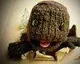 LittleBigPlanet 2 má první recenzi – 10/10