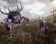 Zaklínač 3 – PS4 a Xbox One verze se zřejmě budou vizuálně lišit