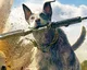 Nové video z Far Cry 5 o psím kamarádovi