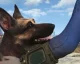 Už se vynořují videa s chybami v akci Fallout 4