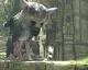 The Last Guardian dostane sběratelskou edici