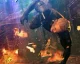 O víkendu první gameplay z Metal Gear Survive, pracuje na něm původní tým