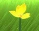 Hra Flower zřejmě zamíří na Playstation Vita
