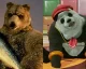 V Tekken 7 se objeví Kuma a Panda