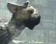 Povedená reklama na dobrodružnou hru The Last Guardian