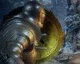 Deep Down - ’2014 Prologue’ trailer