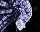 Sci-fi plošinovka Axiom Verge vyjde na PS4 a PSV