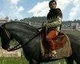 Třetí deníček na Kingdom Come: Deliverance o koních