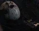 Dark Souls 2 by mohlo dostat po vydání nový obsah, záleží na hráčích